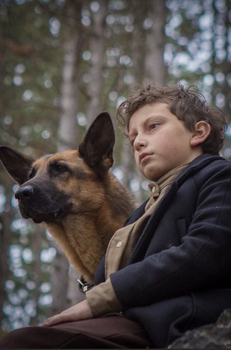 Shepherd: The Story of a Jewish Dog : Photo