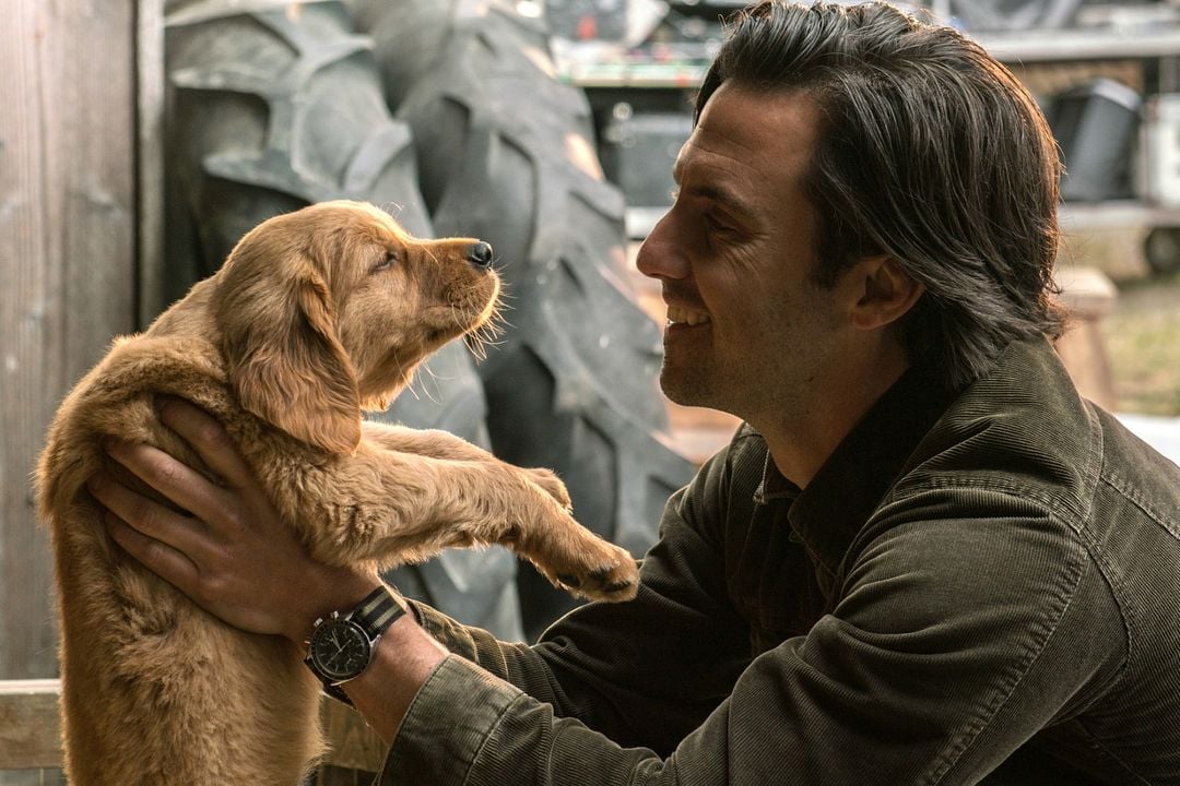 Dans les yeux d'Enzo : Photo Milo Ventimiglia