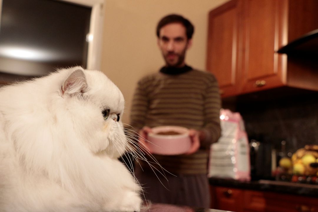 L'Affaire Marvin : Photo