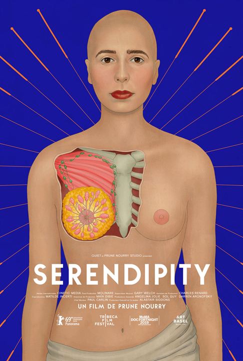 Serendipity : Affiche