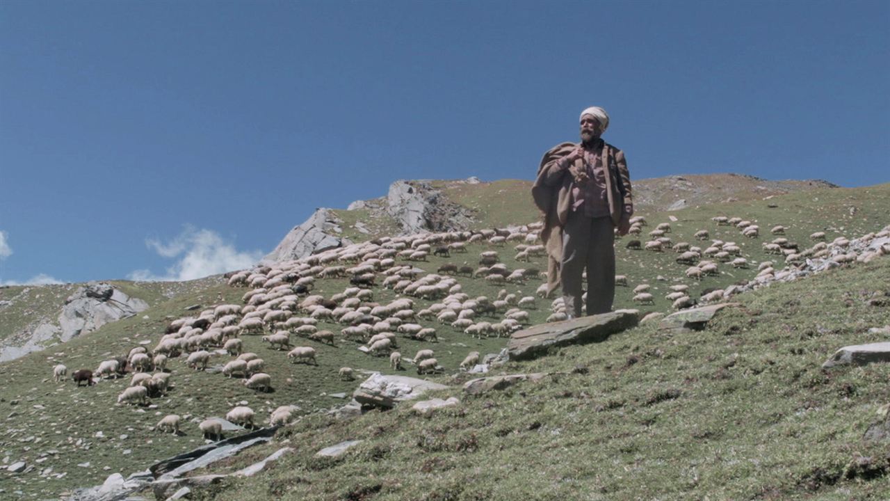 The Gold-Laden Sheep & the Sacred Mountain : Photo