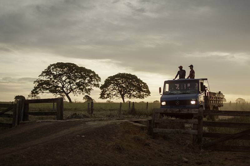 Querência : Photo