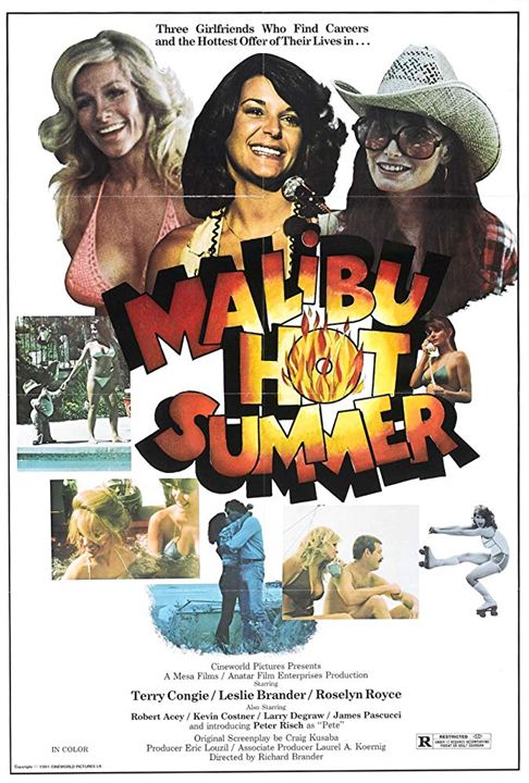 Malibu Hot Summer : Affiche