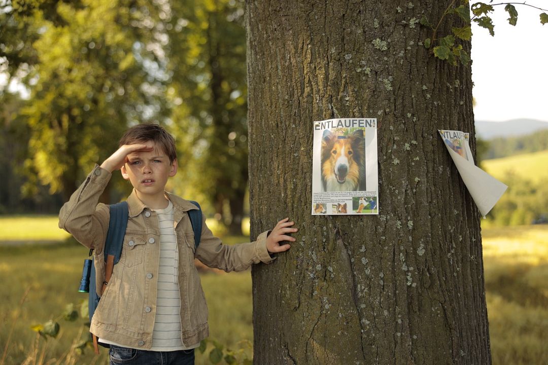 Lassie, La route de l'aventure : Photo Nico Marischka