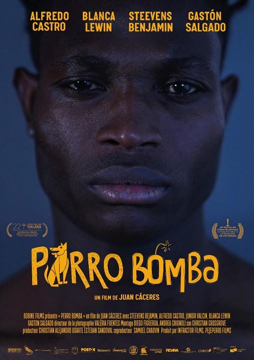 Perro Bomba : Affiche