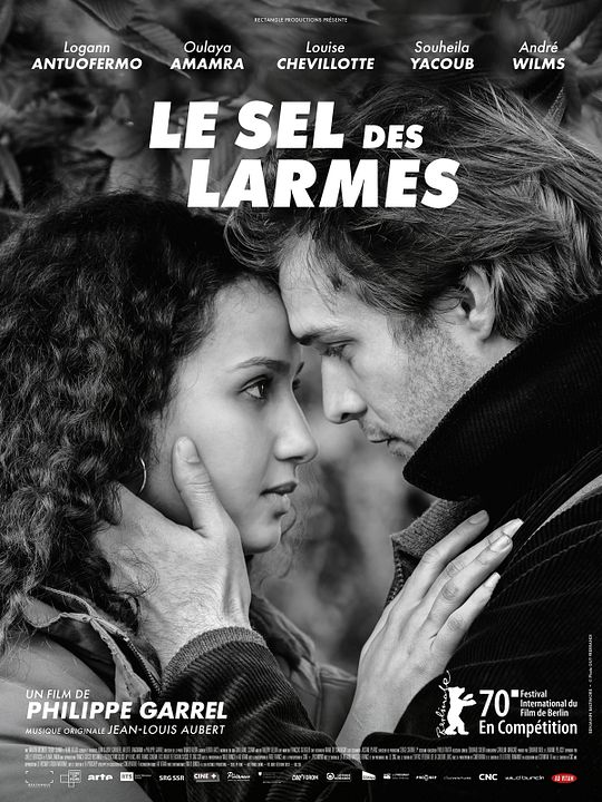 Le Sel des larmes : Affiche