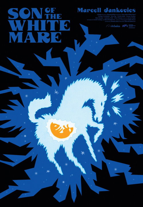 Le Fils de la jument blanche : Affiche