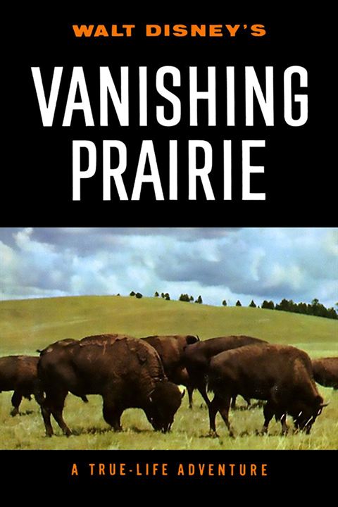 La Grande Prairie : Affiche