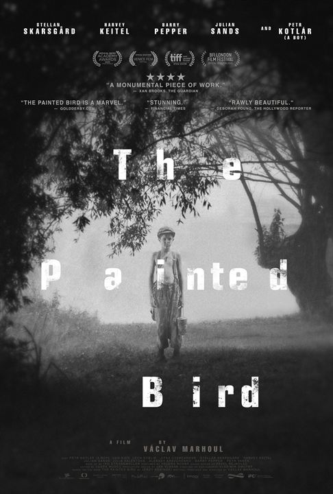 The Painted Bird : Affiche