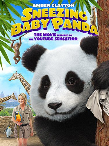 Baby Panda : Affiche