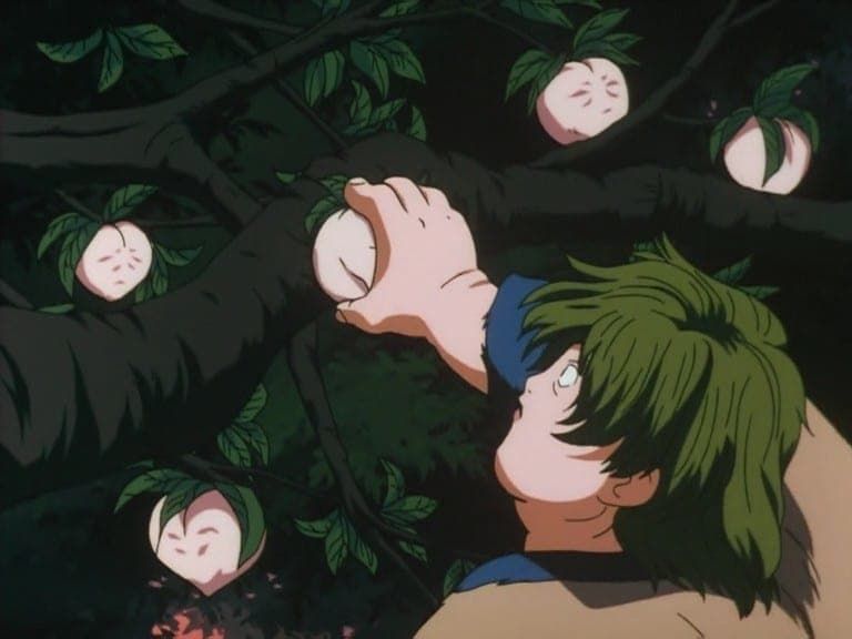 Inuyasha : Affiche