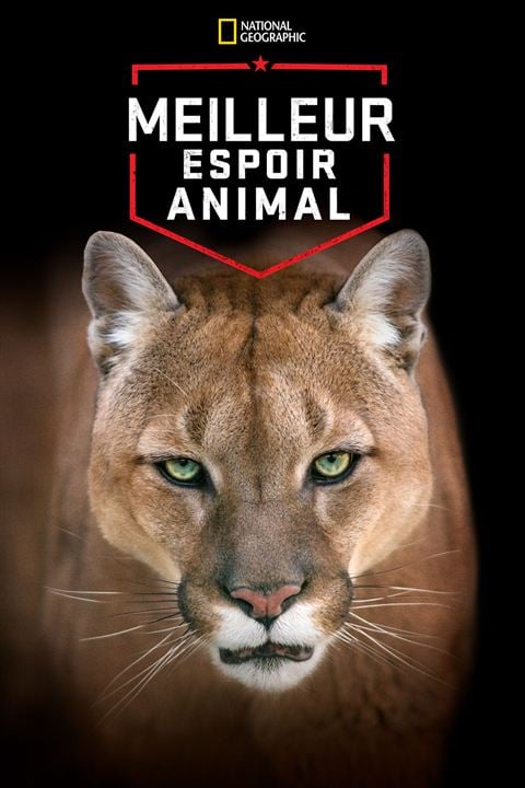 Meilleur espoir animal : Affiche