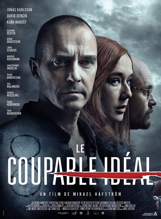 Le Coupable idéal : Affiche