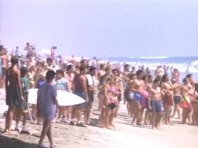 Alerte à Malibu : Affiche