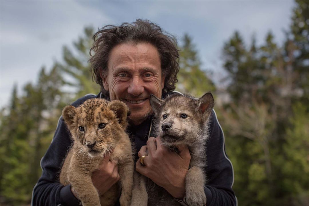 Le Loup et le lion : Photo Gilles de Maistre