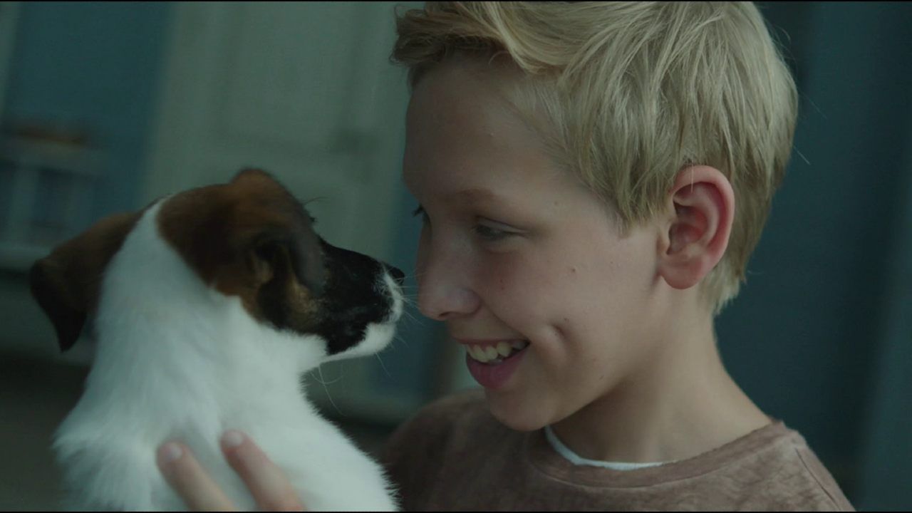 Foxter & Max : Photo