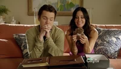 Cougar Town : Affiche