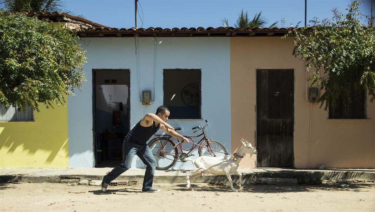 Cabras da Peste : Photo Edmilson Filho