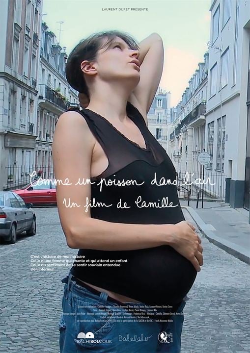 Comme un poisson dans l'air : Affiche