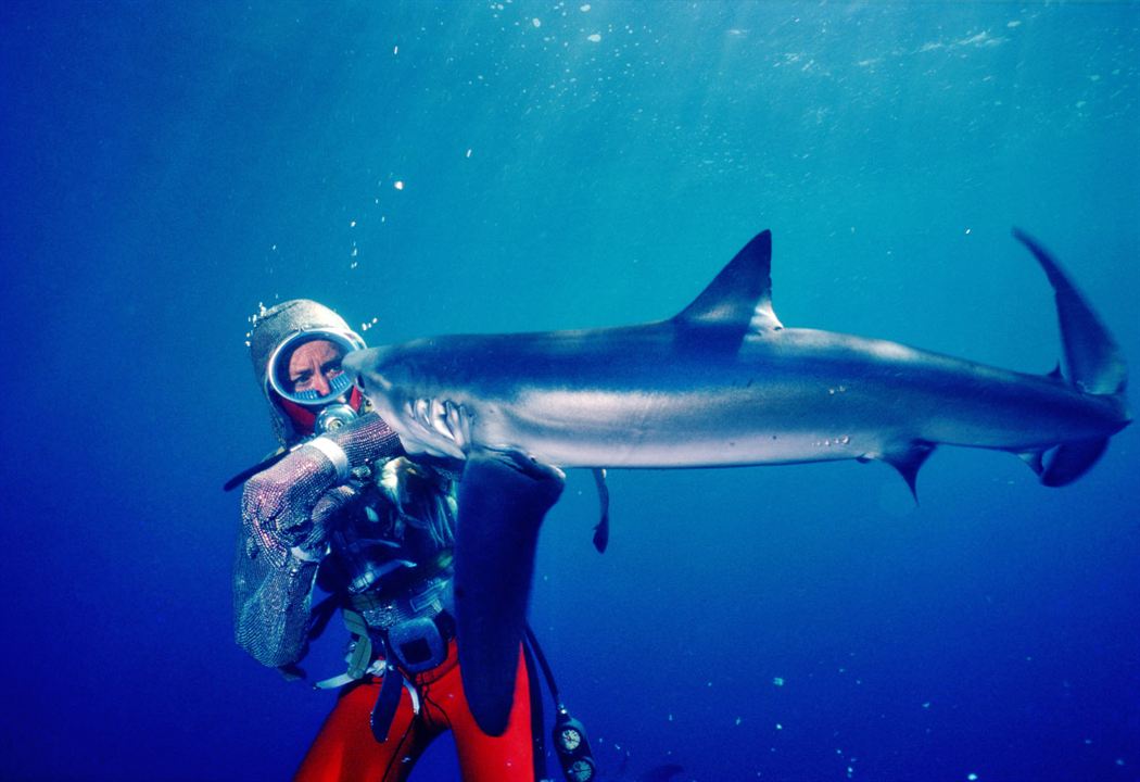 Face aux requins : Photo Valerie Taylor