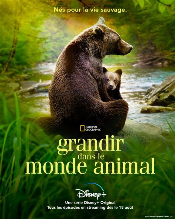 Grandir dans le monde animal : Affiche