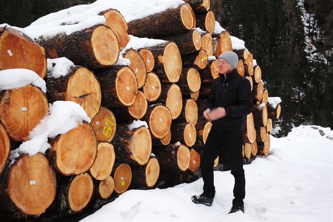 La Puissance de l’arbre avec Ernst Zürcher : Photo