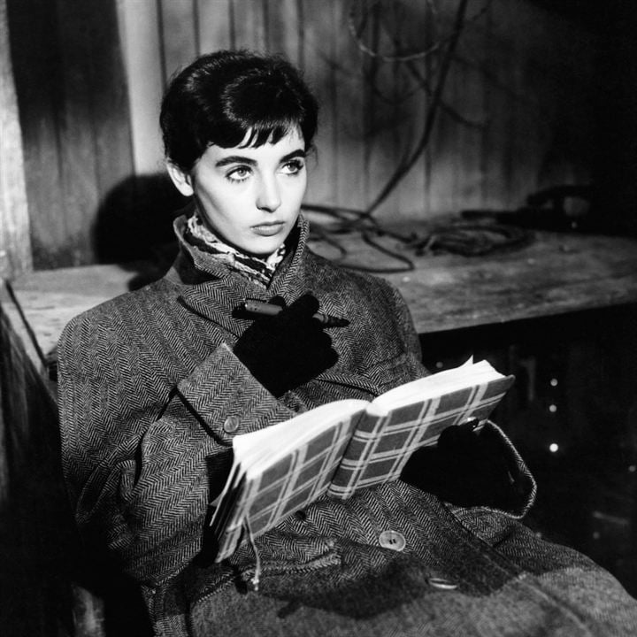 Le Journal d'Anne Frank : Photo Millie Perkins