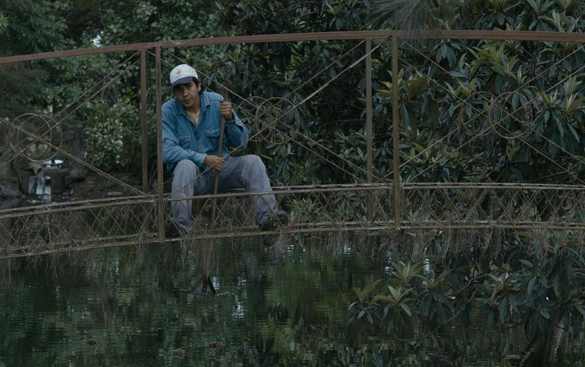 Los Dueños : Photo