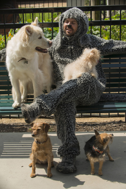 Wilfred (2011) : Photo Jason Gann