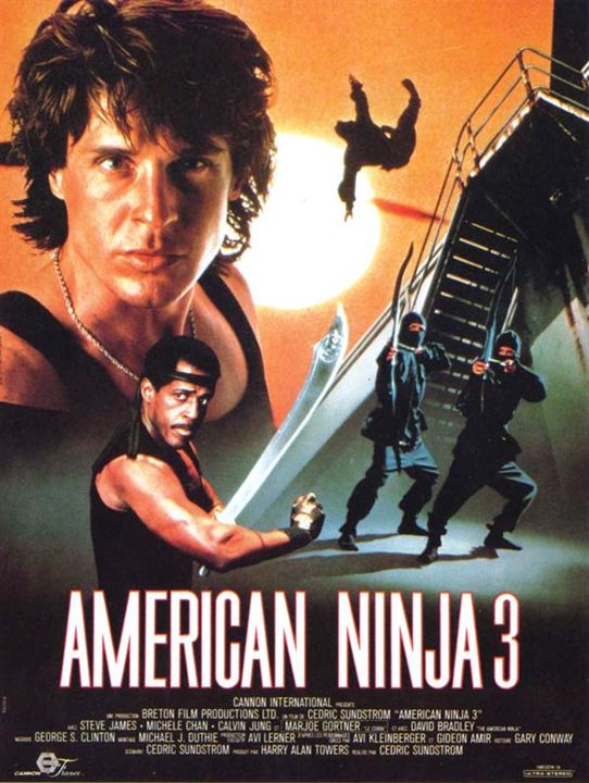 American Ninja 3 : Affiche