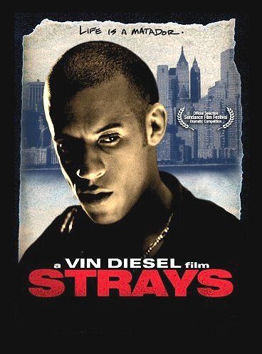 Strays : Affiche