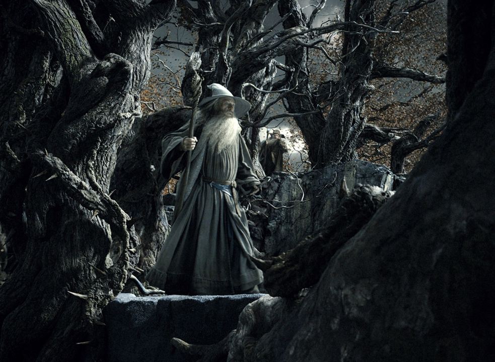 Le Hobbit : la Désolation de Smaug : Photo