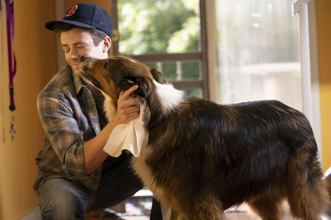 Une amie au poil : Photo Grant Gustin