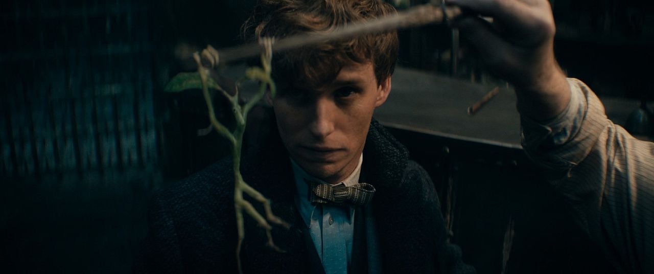 Les Animaux Fantastiques : les Secrets de Dumbledore : Photo Eddie Redmayne