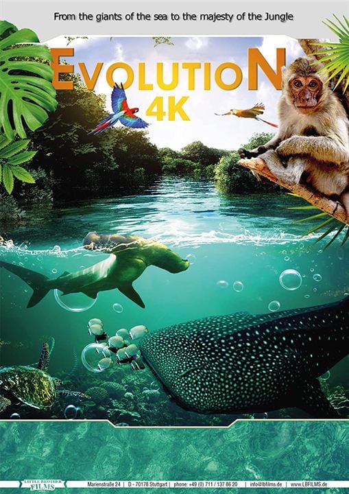 Evolution : Affiche