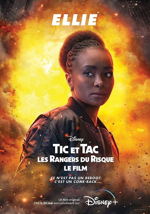Tic et Tac, les Rangers du risque : le film : Affiche