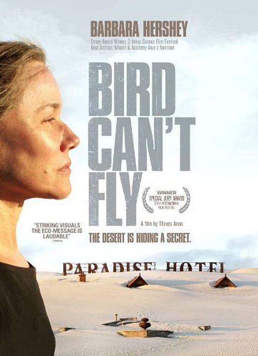 The Bird Can't Fly : Affiche