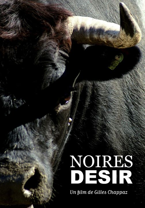 Noires Désir : Affiche