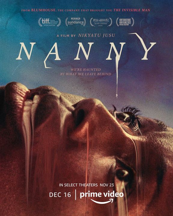 Nanny : Affiche