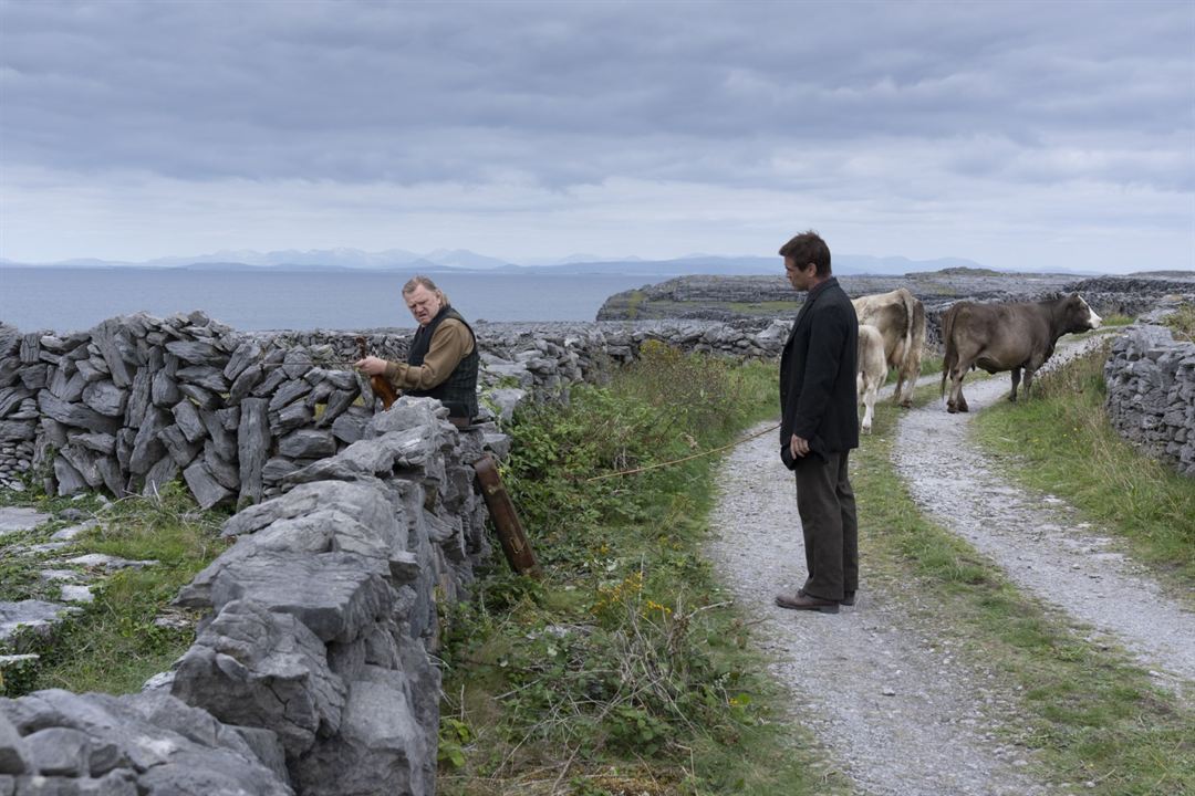 Les Banshees d'Inisherin : Photo Brendan Gleeson, Colin Farrell