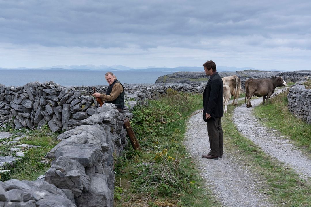 Les Banshees d'Inisherin : Photo Colin Farrell, Brendan Gleeson