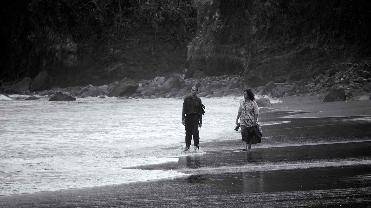Quand les vagues se retirent : Photo
