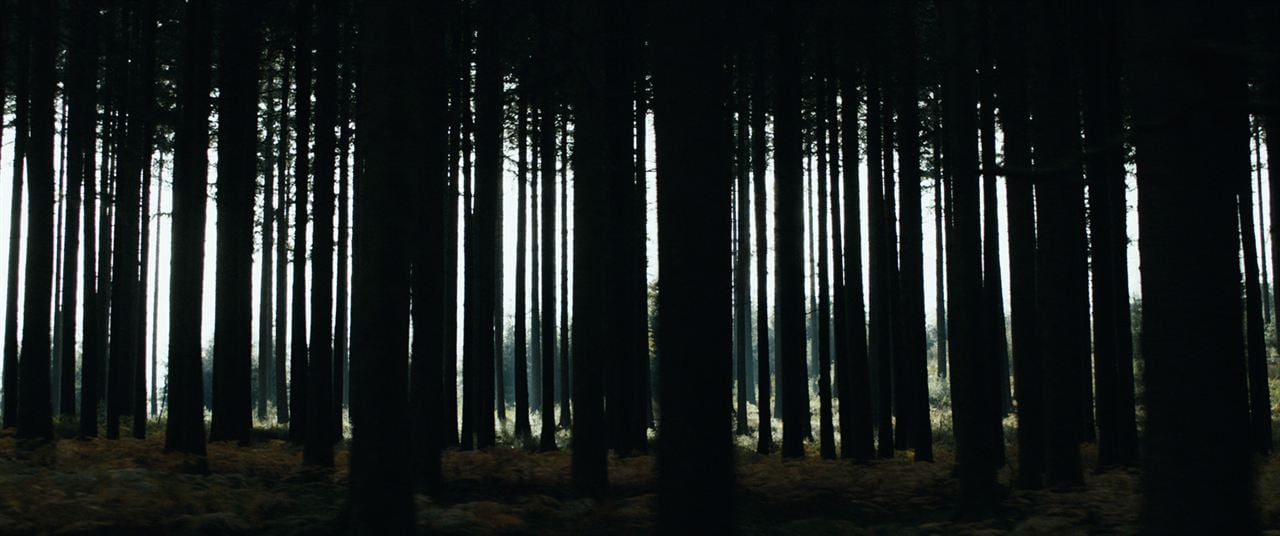 Le Coeur noir des forêts : Photo