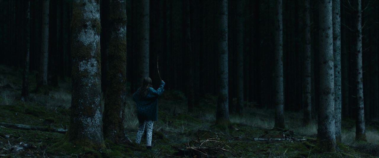 Le Coeur noir des forêts : Photo