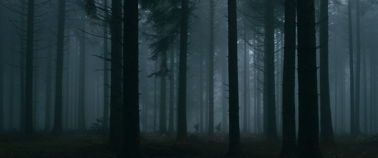 Le Coeur noir des forêts : Photo