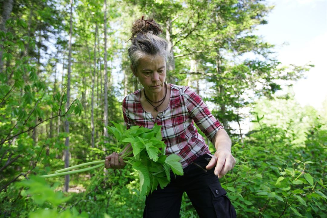 La Famille de la forêt : Photo