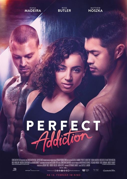 Perfect Addiction : Affiche