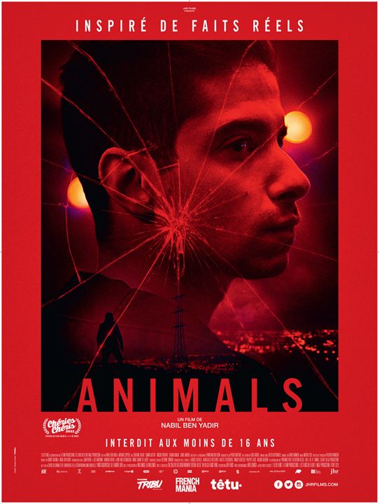 Animals : Affiche