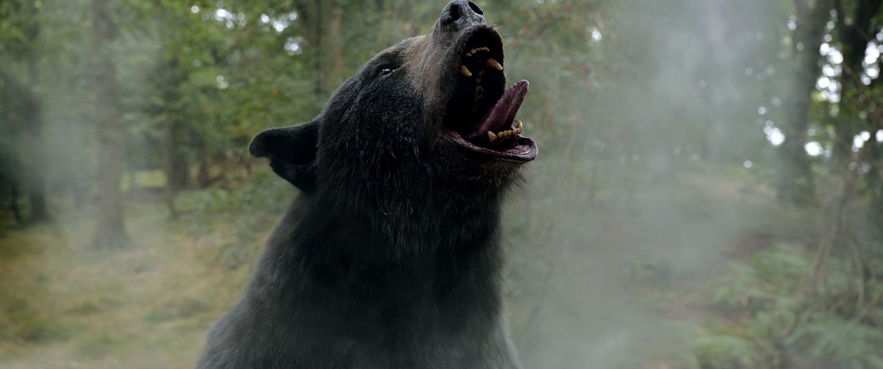 Crazy Bear : Photo