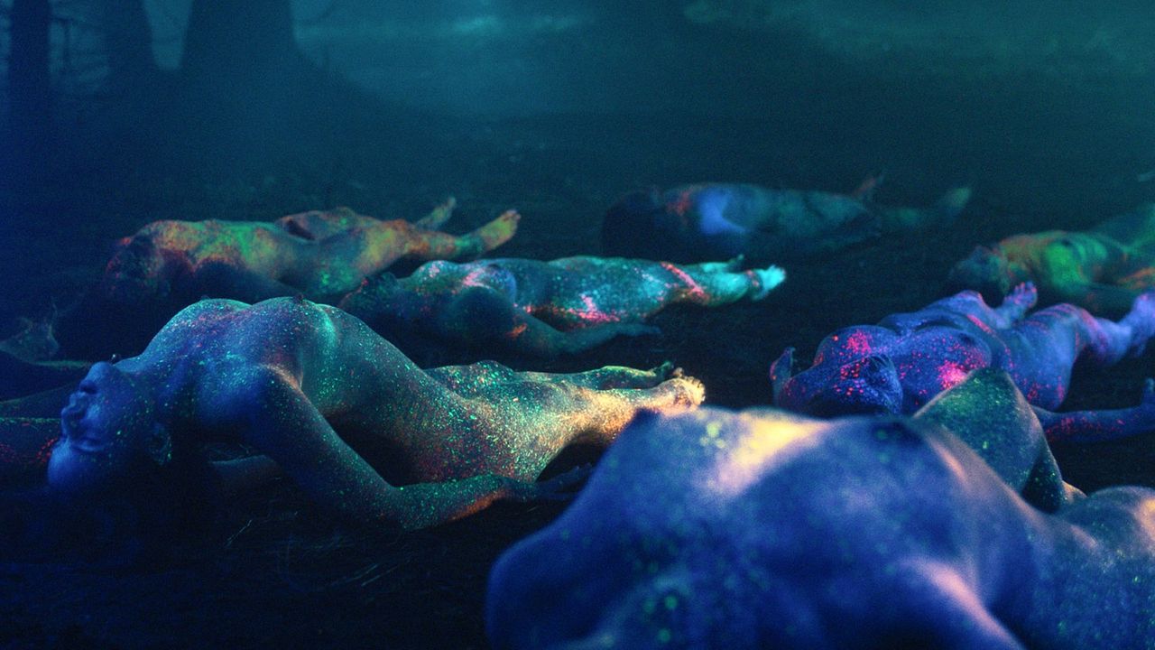 Svetlonoc : Photo